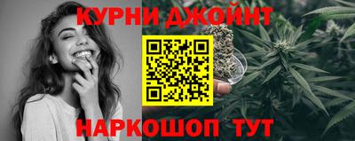 шишки Можга
